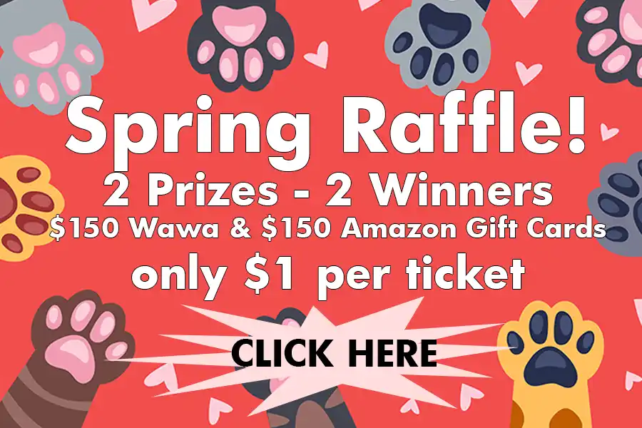 Click to join our Spring Raffle - 2 chances to win $150 gift cards